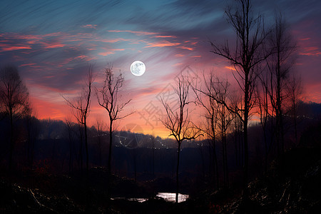 天空中满月与树木图片