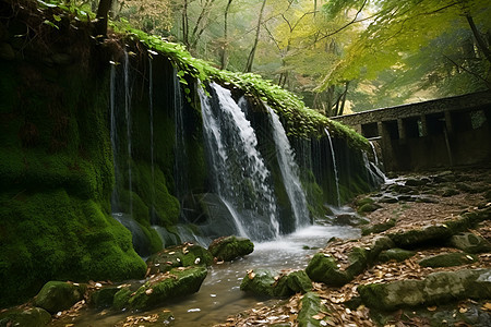 瀑布中美丽风景图片