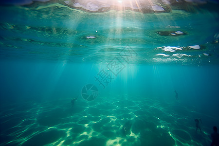 阳光下的海底世界图片