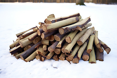 雪中木堆图片