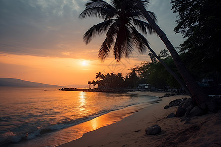 夕阳下的椰树沙滩背景图片