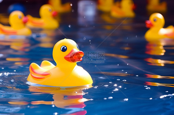 浮在水面上的黄色橡皮鸭图片