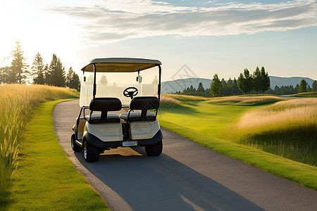 阳光下的高尔夫车背景图片