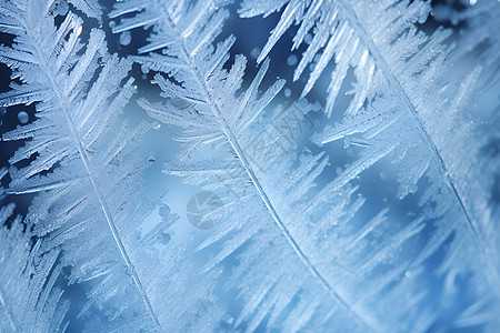 冰窗上蓝色结霜图片