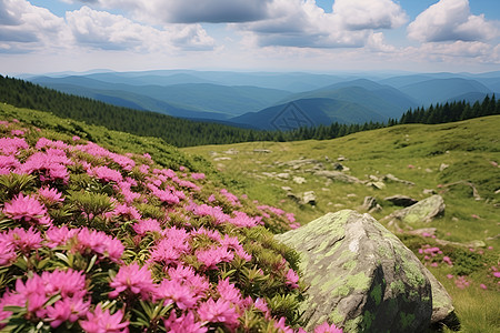 花山岩画花山云海背景