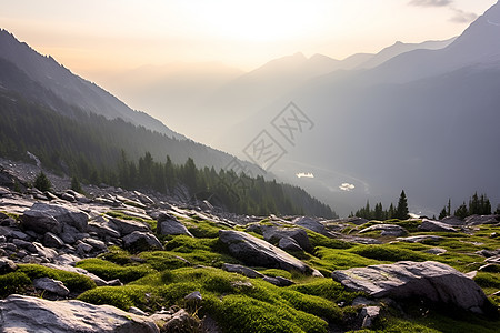 翠绿山谷图片