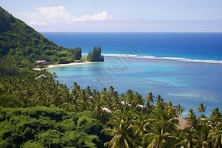 热带岛屿背景图片