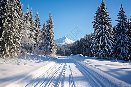 冰雪覆盖的山路高清图片