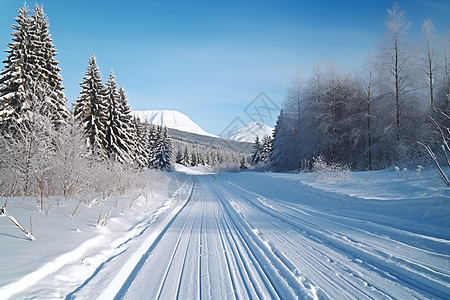 冰雪融清世间美图片