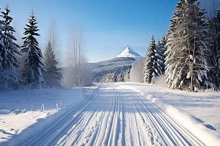 冰天雪地林中山景背景图片