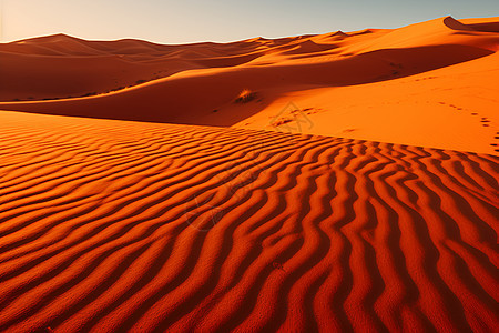 沙漠中的波浪图片