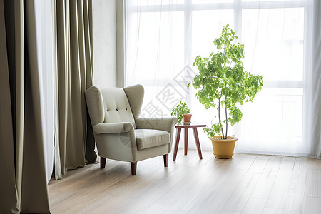 客厅内的椅子和绿植高清图片