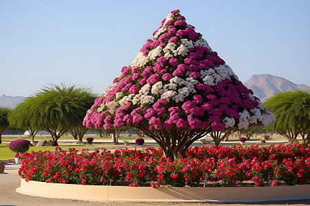 花海与花树图片