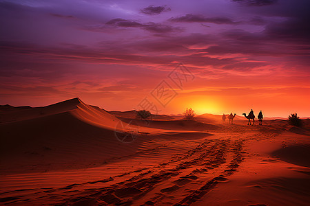沙漠中的黄昏之旅图片