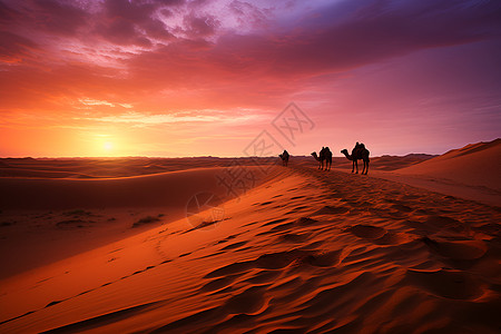 沙漠黄昏骑行背景