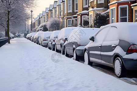 白雪覆盖的一排车图片