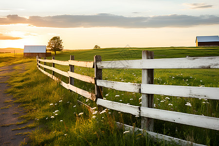 田园中的篱笆图片