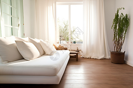 家中的白色沙发背景图片