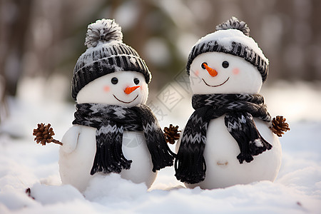 两个雪人在雪地中带着帽子图片