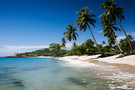 热带岛屿上阳光明媚的一天图片