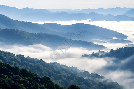 雾气缥缈中的山林景观高清图片