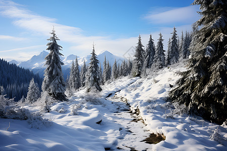 冬日里的雪山路径图片