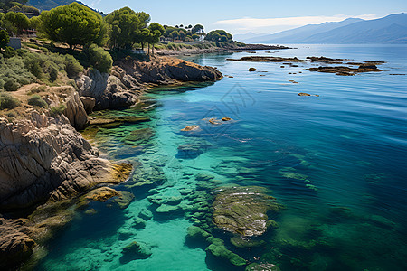 湛蓝海湾图片