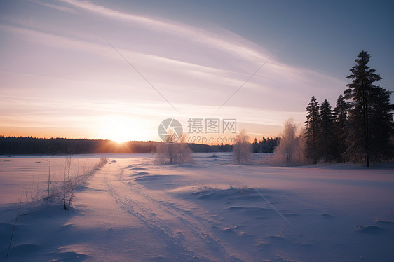 美丽的冰雪景色图片