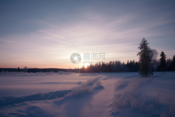 冰雪中的孤寂图片