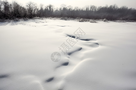 冰雪融汇的美景背景图片