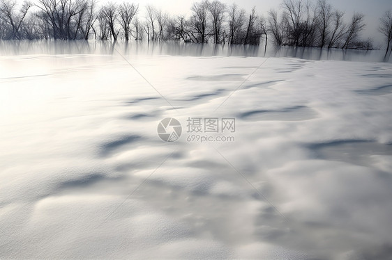 地面上都是白雪图片