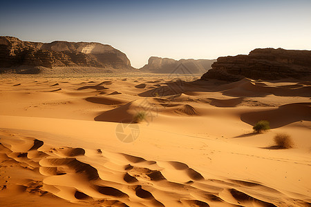沙丘和辽阔的沙漠图片
