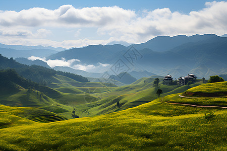 一片绿色山坡图片