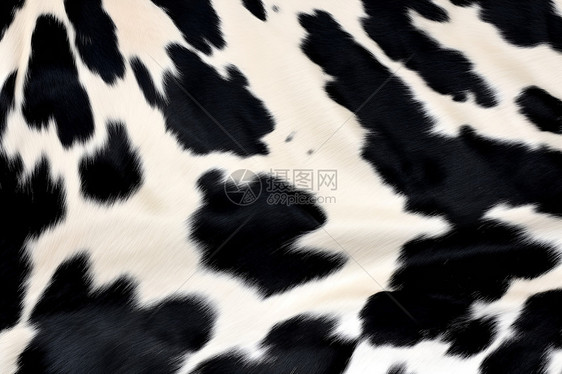 奶牛花纹绒面织物图片