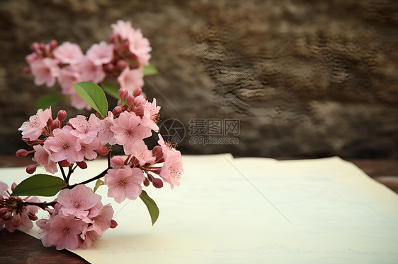 信纸旁绽放的桃花图片