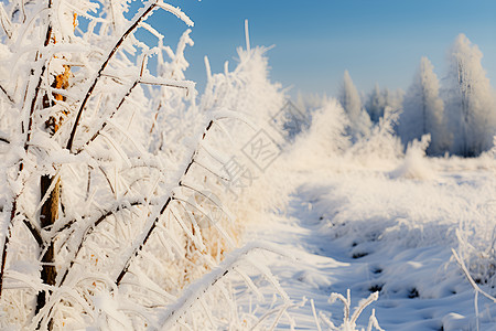 童话仙境冬日白雪中的童话森林背景