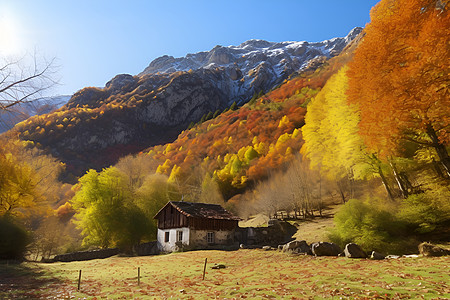 风景优美的秋季山谷景观背景图片