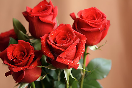 象征爱情的玫瑰花束图片