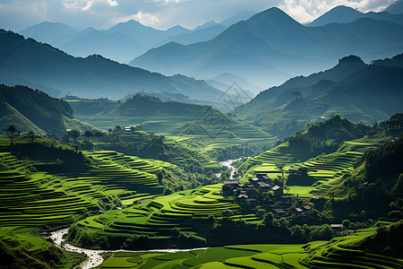 梯田美丽的山地背景