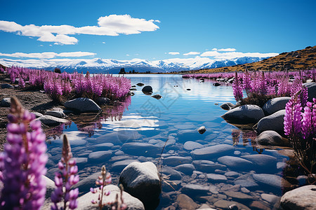 湖光山色风景如画图片