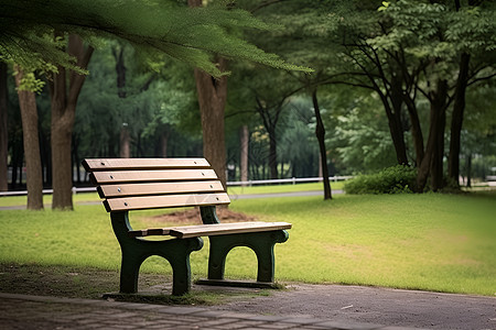 公园宁静的长椅图片
