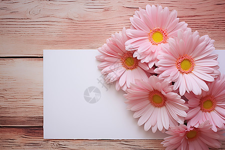 创意美感的花卉白纸背景图片