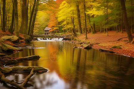 秋天的清溪图片