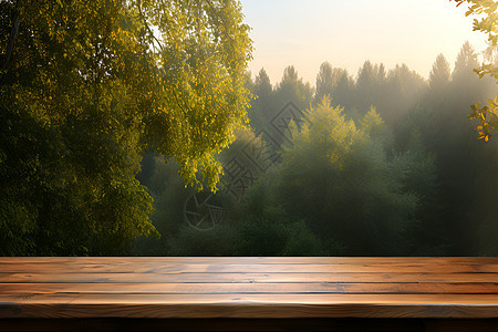 森林阳光下的木制桌椅图片