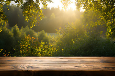 森林阳光下的木质餐桌图片