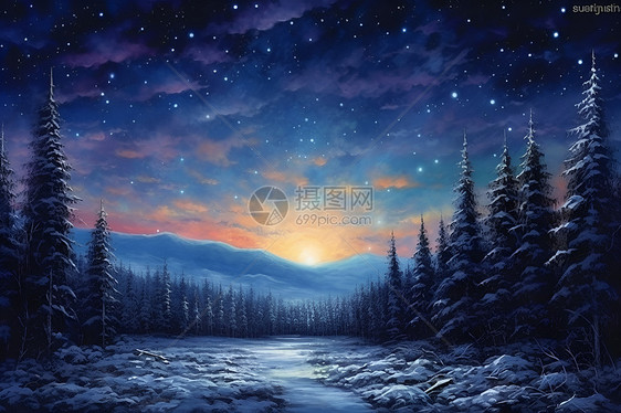 星空下的冬日森林图片