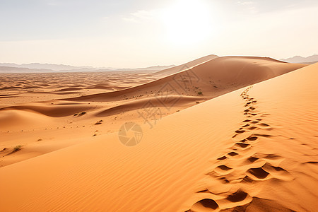 沙漠中的足迹图片