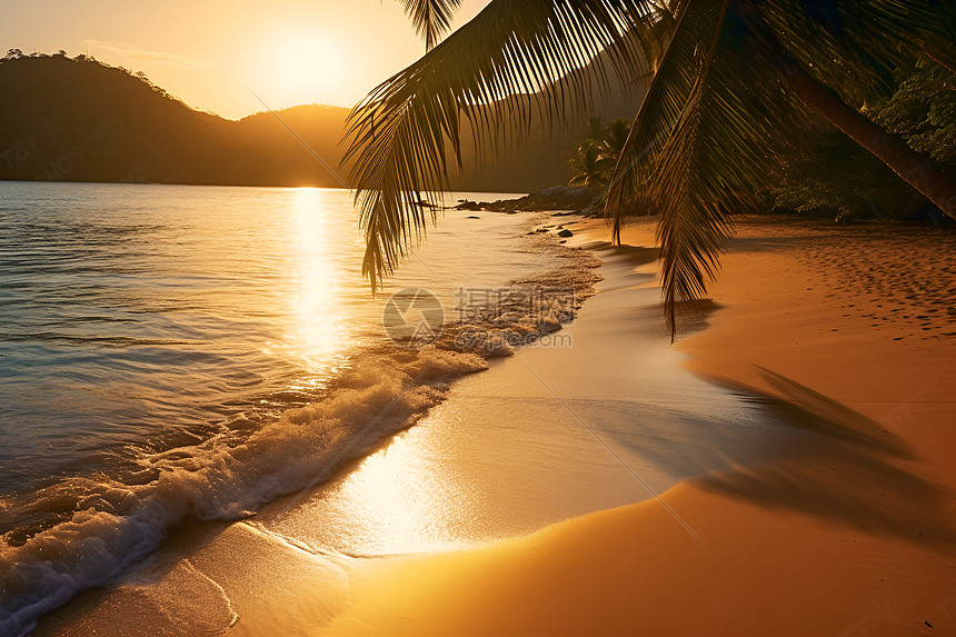 夕阳下的棕榈树与海滩图片