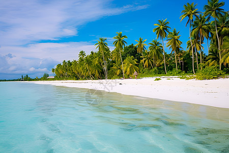 热带沙滩美景图片
