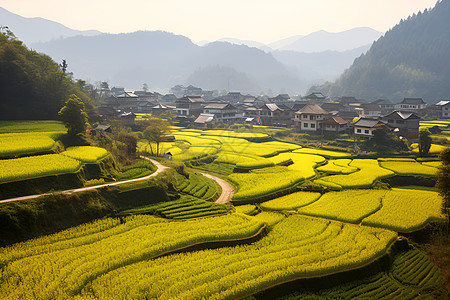 美丽的田园风景图片